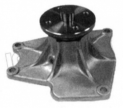 IPS PARTS ipw7596 - Водяной насос